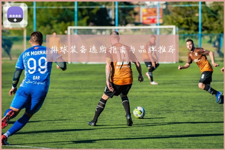 排球装备选购指南与品牌推荐