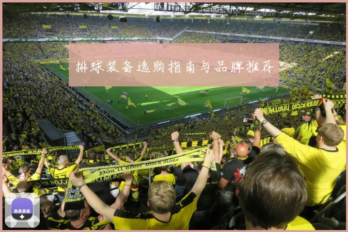 排球装备选购指南与品牌推荐